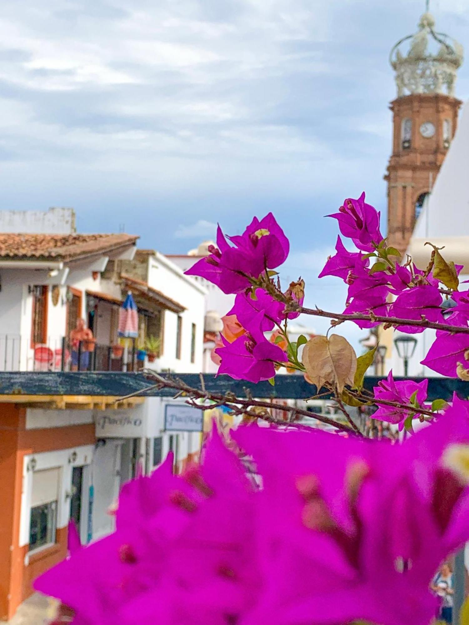 Casa Frida Gaylodging プエルトバラータ エクステリア 写真